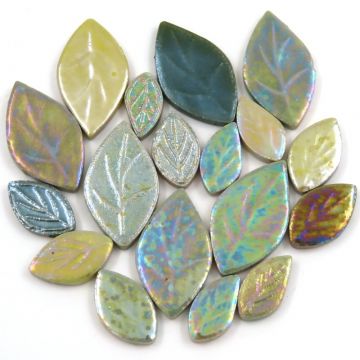 Iridescent Leaf Mix: Ficus (50g)