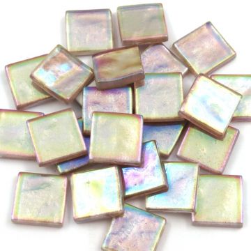 Iridescent Goldenberry AL211IR: 100g